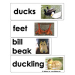 Online Kids Games preschool and kindergarten activities