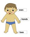 Body Parts activities and printables