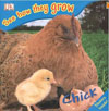 hen and Chicks book