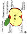 apple science