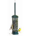 Bird Feeder