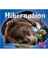 hibernation book