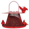 Cardinal feeder