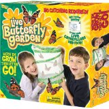 butterfly garden