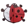 Ladybug Life Cycle craft