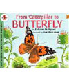 from caterpillar to butterfly book
