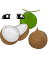 coconut science lessons, games and activities
