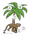 letter recognition activity