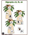 Digraphs lesson and activities
