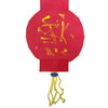 Chinese lantern craft