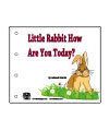 Little Rabbit emergent reader booklet