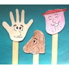 Five senses craft