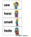 five senses word wall