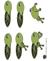 tadpoles rhyme and felt story