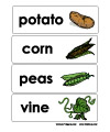 fruit worksheet