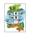 preschool literacy activity