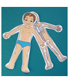 Inside my body lessons