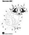 Raccoon printables and coloring page