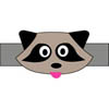 Raccoon craft