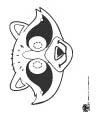 Raccoon mask