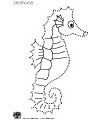 seahorse coloring page