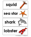 Ocean word wall