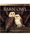Barn owl book