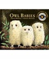 Owl Babies book