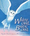 White Owl Barn Owl