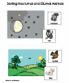 peter and the wolf activities and printables