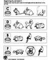 pets beginning sounds