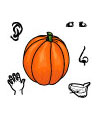 pumpkins lesson