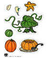 Pumpkin life cycle printables