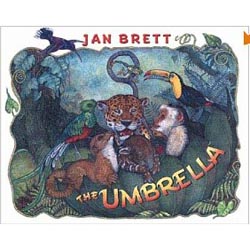 Rainforest book