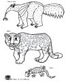 Rainforest animals printables and coloring page