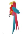 Macaw and parrot craft and rhyme