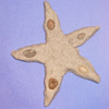 sand craft and activities