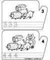 Activity Image