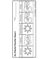 weather report printable