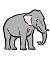 zoo crafts and activities
