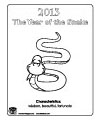 2013 Year of the Snake coloring page
