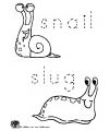Snail and slug writing printable