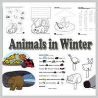 Preschool Kindergarten Animals in Winter Activities and Lessons