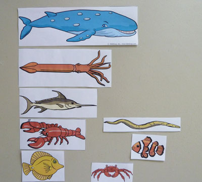 Measuring and Counting with Ocean Animals