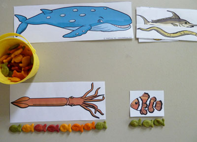 Measuring and Counting with Ocean Animals