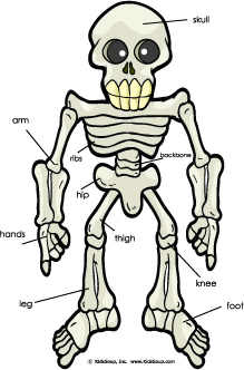 Spooky Bones and Skeletons Activities, Craft, and Song | KidsSoup