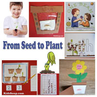 Preschool Kindergarten Seed to Plant Activities and Lessons