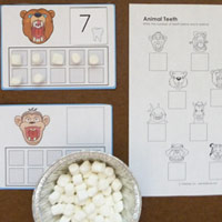 KIndergartenAnimal Teeth Math Activities and printables