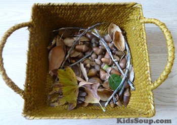 Fall science acorn activity and lesson