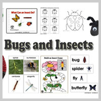 Preschool Kindergarten Bugs and Insects Activities and Crafts
